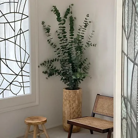 Con Piscina Delante Del Mar Roda de Bará